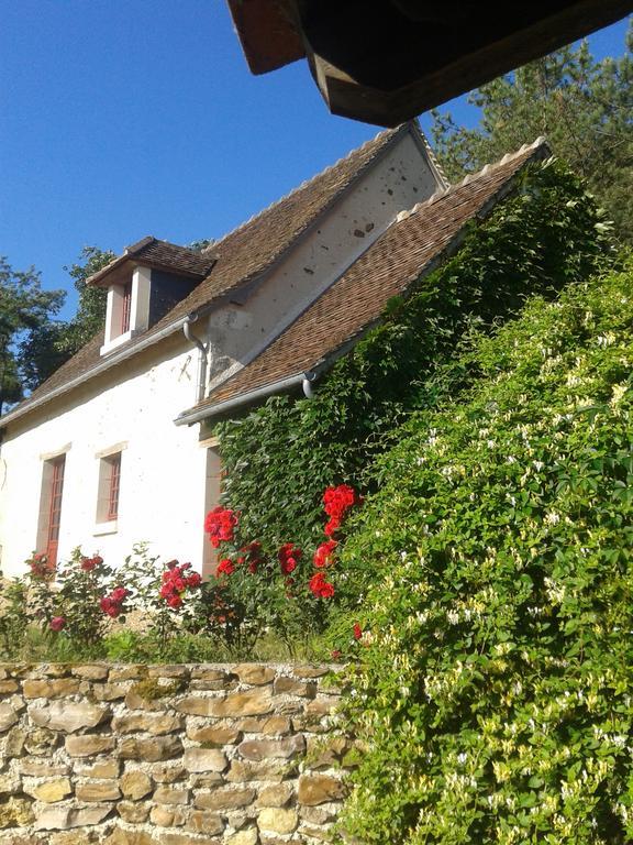 Gite De Serre Le Grand-Pressigny 外观 照片